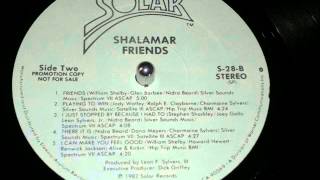 Shalamar Friends Funk Vinyl 1982 Full Version HD [upl. by Kacie]