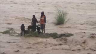 Army Footage Gujjar Family Rescue in Jammu Floods [upl. by Brine]