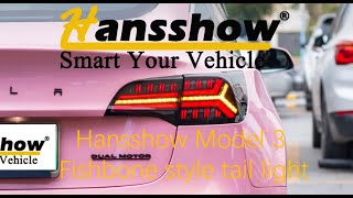 Hansshow Model 3 Fishbone Style Tail Light [upl. by Letnom]