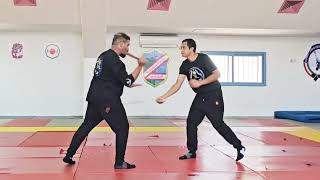 12 Basic Strikes with classical flow of Kali  Arnis Tirada  Filipino Martial Arts [upl. by Ettelrats]