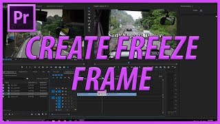 How to Create a Freeze Frame in Adobe Premiere Pro CC 2017 [upl. by Jerz]