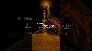 Ya Hussain ع 🚩🏴 hussain muharram karbala hassanhussain [upl. by Rodd]