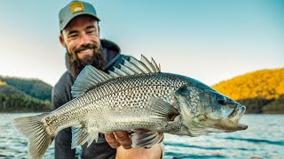 Bass Fishing Borumba dam ABT Electric [upl. by Teerell242]