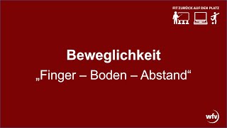 01 Beweglichkeitstest FingerBodenAbstand [upl. by Mintun]