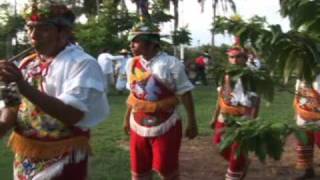 Voladores de Papantla Un bien inmaterial [upl. by Akiras]