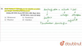 Which bacteria is responsible for the reduction of nitrates into nitrogen denitrifying Bacteria [upl. by Aoniak627]