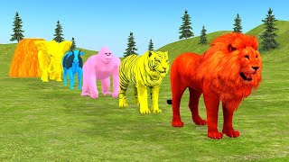 Long Slide Game With Elephant Gorilla Buffalo Hippopotamus Tiger  3d Animal Game  Funny 3d Animals [upl. by Artimid]