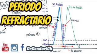 Que es el periodo refractario absoluto y relativo Fisiología fácil [upl. by Jackquelin]