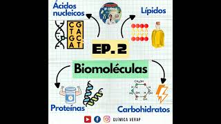 Biomoléculas Proteínas Carbohidratos Lípidos y Ácidos nucleicosPodcast de Ciencia [upl. by Atnomed]