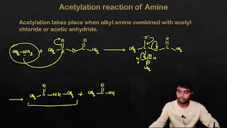 Acetylation of amine  amine react with acetyl chloride or acetic anhydride [upl. by Porty]