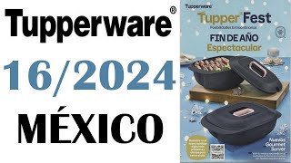 CATALOGO TUPPERWARE TUPPER TIPS 16  2024 MÉXICO [upl. by Thorman]