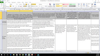 How to Create a Literature Matrix Excel [upl. by Enomys479]