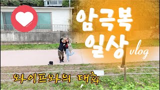 췌장암4기 암극복vlog와이프와의 대화 암을 극복하기 위한 시작 [upl. by Namreh]