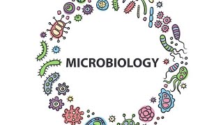 Vibrio MicrobiologyPathology MBBS [upl. by Oiliruam]