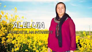 Corina Moldovan  Aleluia La necaz El te intareste Official video [upl. by Eellac]