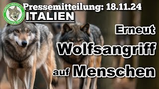 Wolfinfo Aktuell Pressemitteilung Italien Abruzzen Erneut Wolfsangriff auf Menschen [upl. by Anoj615]