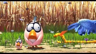 Birds  short animation story  Pixar [upl. by Yllek154]