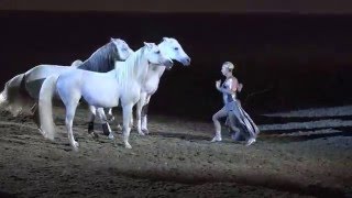 Liberty with 3 horses  Sylvia Zerbini  Night of the Horse 2016  Del Mar National Horse Show [upl. by Ynabla538]