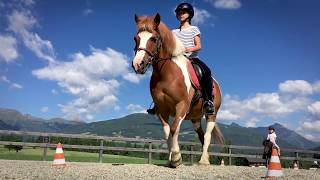 Samerhof Urlaub am Bauernhof im Salzburger Lungau [upl. by Hetty579]