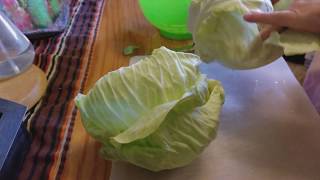 Cabbage Chips in the Dehydrator [upl. by Shaver551]