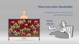 Chronische Lymfatische Leukemie [upl. by Dekow]