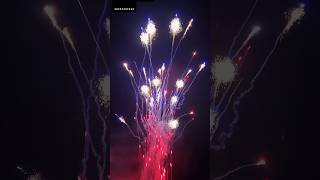 Red Howling Wolf Fireworks 🎆🎇 Cake merrytimefireworks fireworks2024 [upl. by Hale561]