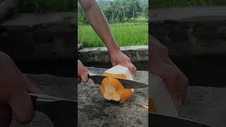 Slicing a coconut makes an antidote to poison [upl. by Sucerdor]