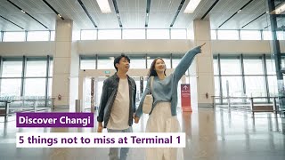 Discover Changi 5 things not to miss at Changi Airport Terminal 1 [upl. by Ysteb816]