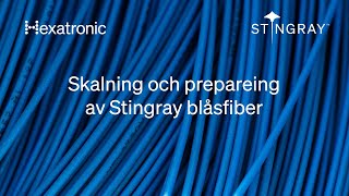 Skalning och preparering av Hexatronic Stingray blåsfiber [upl. by Ihn453]