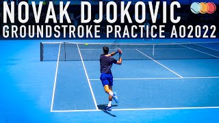 Novak Djokovic  forehand backhand practice [upl. by Saxen]