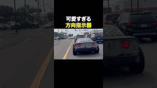 これが出てきたら許しちゃう海外の反応 海外のリアクション 外国人 おもしろ動画 爆笑動画 笑える バズった動画 癖が強い shorts ドッキリ [upl. by Eillen]