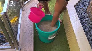 Jonel Koi Pond  Applying calcium bentonite in my pond [upl. by Carly322]