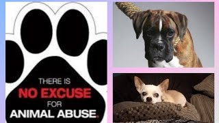 Animal Cruelty Cases True Crime But Its Real RSPCA [upl. by Imray332]