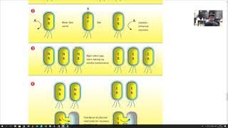 SOSU Naturfag C Kapitel 14 Bakterier antibiotika og resisten [upl. by Licna154]