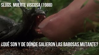 Babosas comehumanos origen y características  Slugs mu3rte viscosa 1988 [upl. by Rosalie]