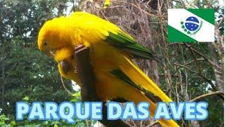 PARQUE DAS AVES EM FOZ DO IGUAÇÚ [upl. by Neelsaj]