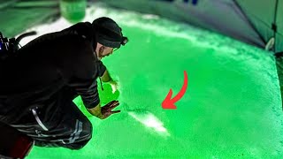 CLEAR ICE FISHING Whitefish amp Burbot UNDERWATER FOOTAGE [upl. by Gensmer750]