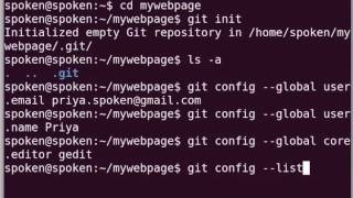 Basic commands of Git  Hindi [upl. by Hennessy356]