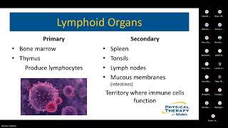 Jeff Hashagen MSPT CLT  Demystifying Lymphedema  Rehabilitation amp Movement Science Grand Rounds [upl. by Yci]