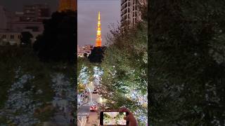 The Roppongi Hills Christmas Illumination 2024 tower roppongihills japantravel Japan FYP tokyo [upl. by Magdaia]