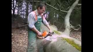 MOTOSIERRA STIHL MS 310 [upl. by Velvet]