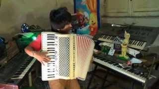 夜来香 Ye Lai Xiang  ACCORDION VERSION [upl. by Anwat149]