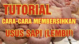 Tutorial  Caracara Membersihkan Usus Sapi Lembu [upl. by Nevil]