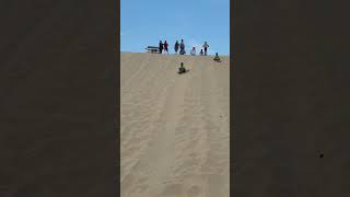 Sandboarding and sledding [upl. by Negroj]