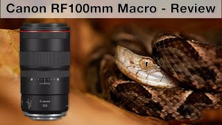 Canon RF 100mm f28 L IS Macro  Review from Costa Rica [upl. by Birmingham]