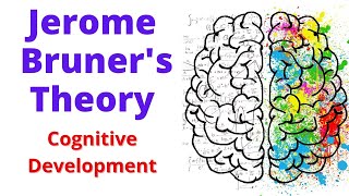 BRUNER Theory Of Cognitive Development  cognitive development theory by bruner [upl. by Adamski811]