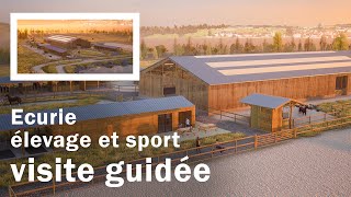 Visite guidée dune écurie délevage et de sport [upl. by Aimahs]