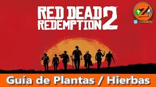 Red Dead Redemption 2 Localización de las 43 Plantas  Hierbas  Desafío Herbolario 9 [upl. by Yrrat186]