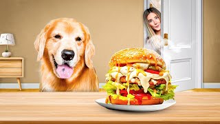 Leaving My Dog Alone with a JUICY Burger [upl. by Aikcin]