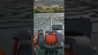 Fall season means Kings season 🤴 trollfishing columbiariver kingsalmon okuma [upl. by Just780]